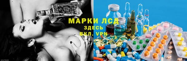 ГАЛЛЮЦИНОГЕННЫЕ ГРИБЫ Абинск